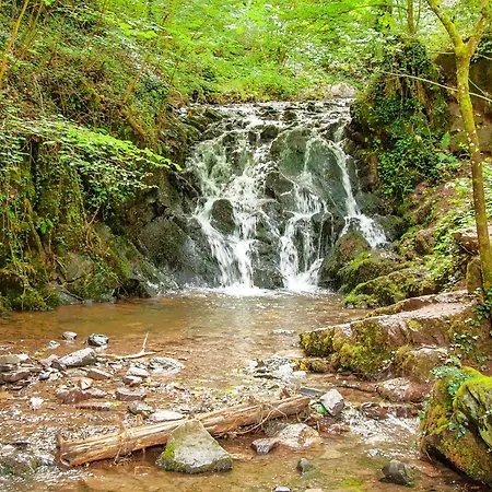 Ferienhaus Bad Bertrich