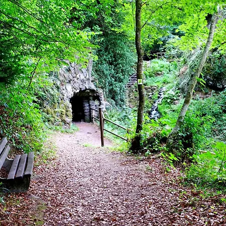 Apartment Ferienhaus Bad Bertrich *