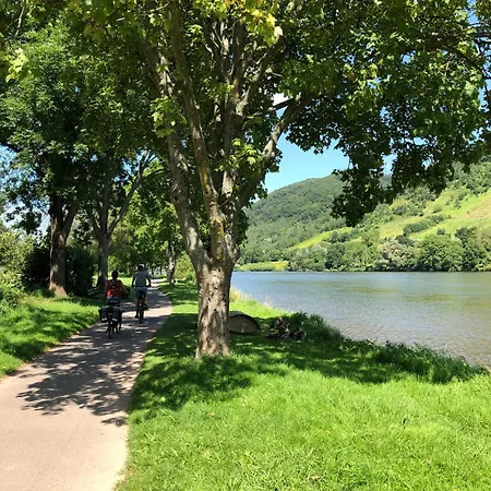 Ferienhaus Bad Bertrich アパート