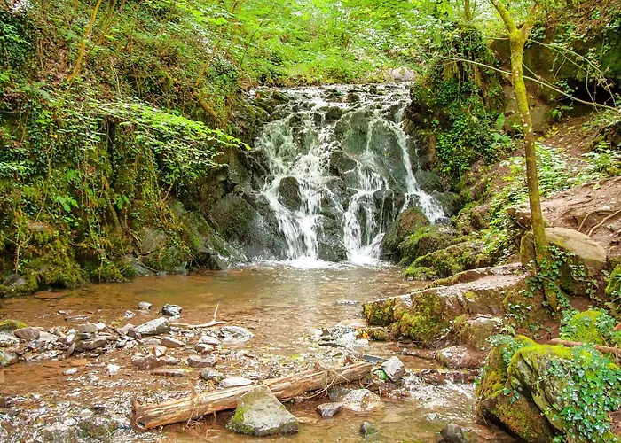 Ferienhaus Bad Bertrich
